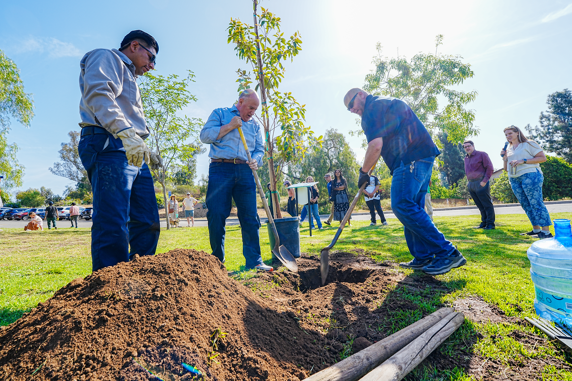 A group of people planting trees