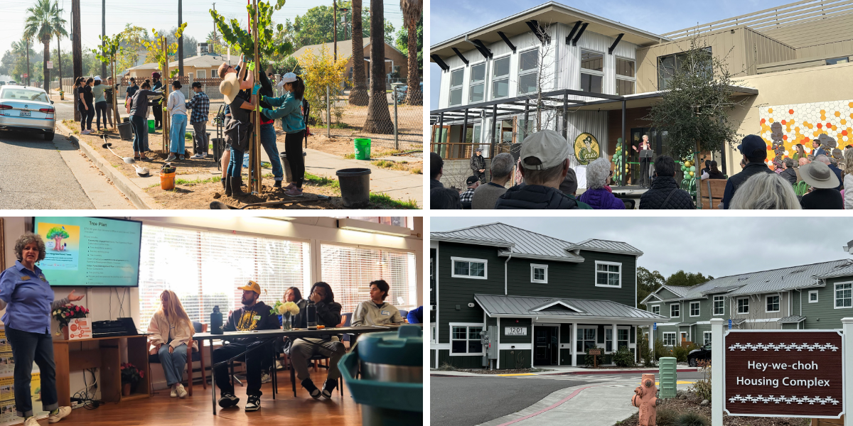 Four photos from grant programs doing engagement.